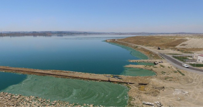 Bakıdakı üfunət iyi ilə bağlı açıqlama