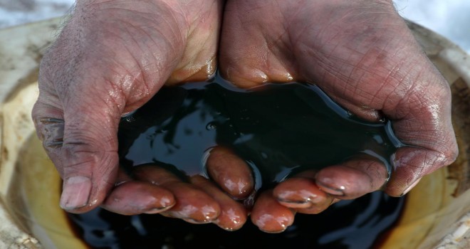 Neft bahalaşmağa davam edir